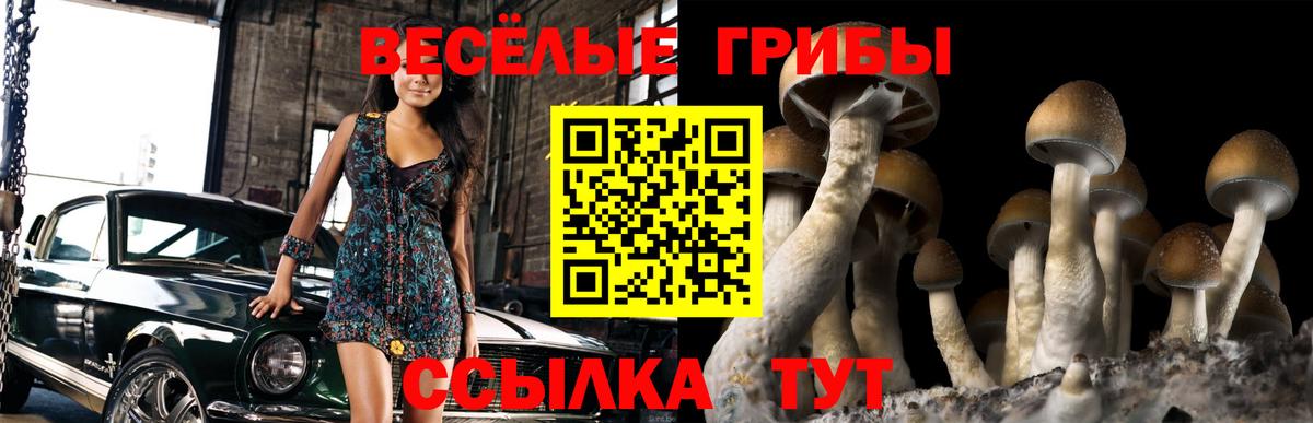 хочу наркоту  Вход с VPN  Тавда  Галлюциногенные грибы MAGIC MUSHROOMS  Псилоцибиновые грибы GOLDEN TEACHER 